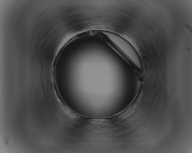 X0000093131342200710171259