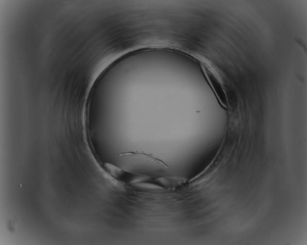 X0000093131343200710171259