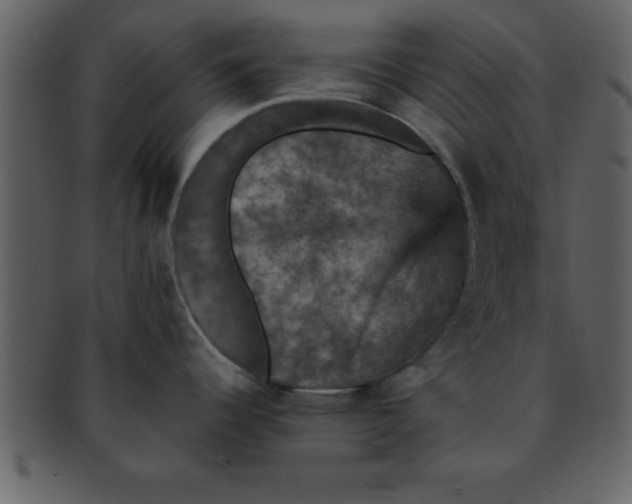 X0000093131344200710171259