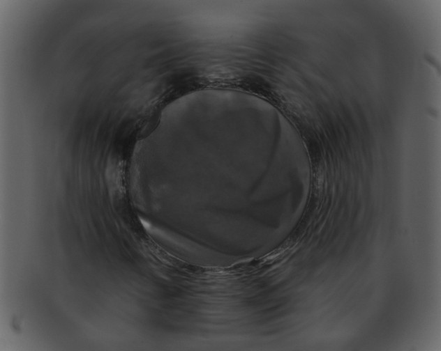 X0000093131346200710171258