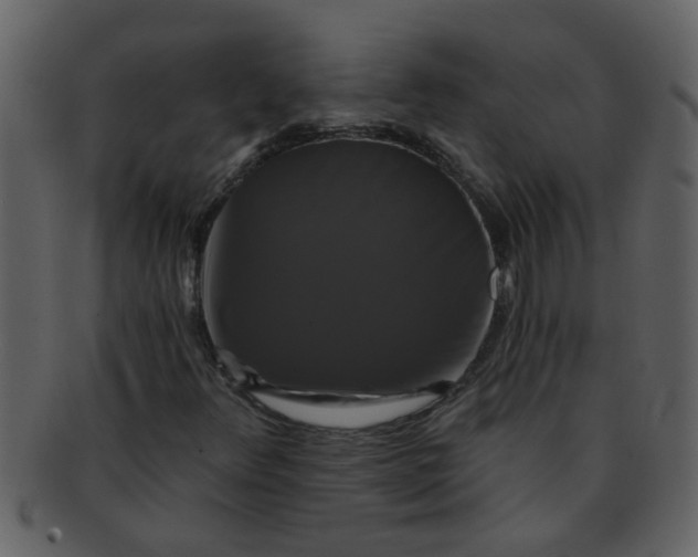 X0000093131348200710171258