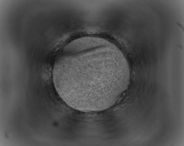 X0000093131349200710171258