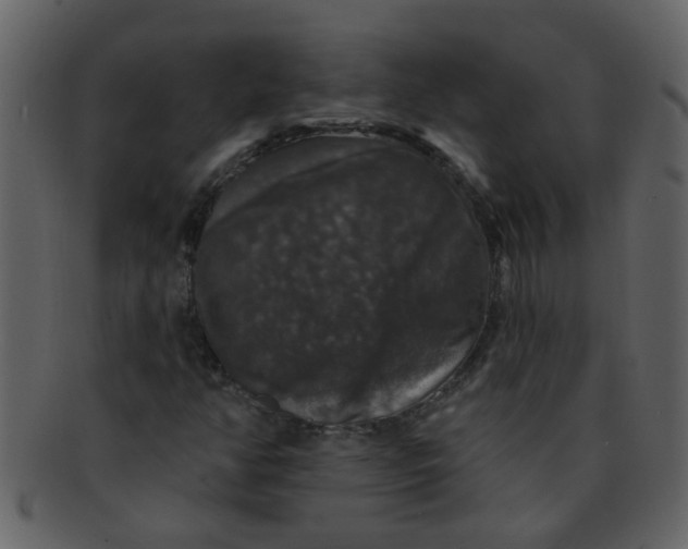 X0000093131350200710171258