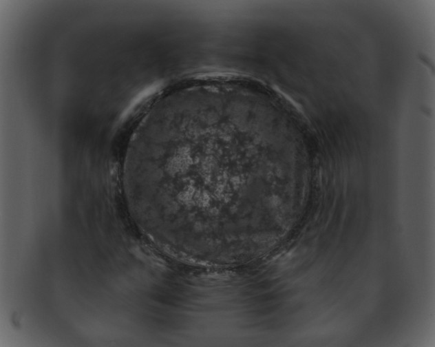 X0000093131351200710171258