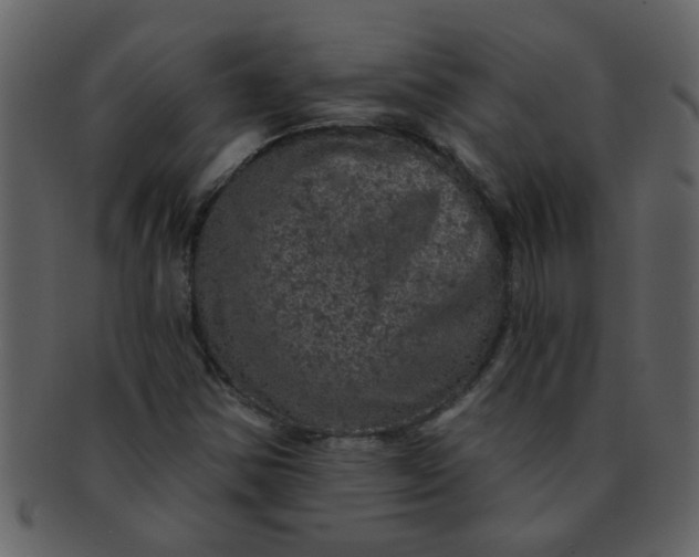 X0000093131354200710171258