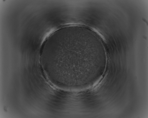 X0000093131357200710171258