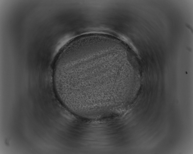 X0000093131360200710171258