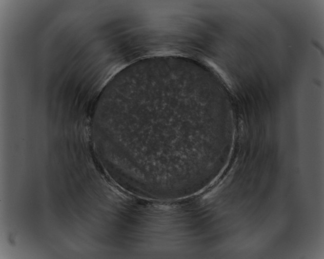 X0000093131361200710171258