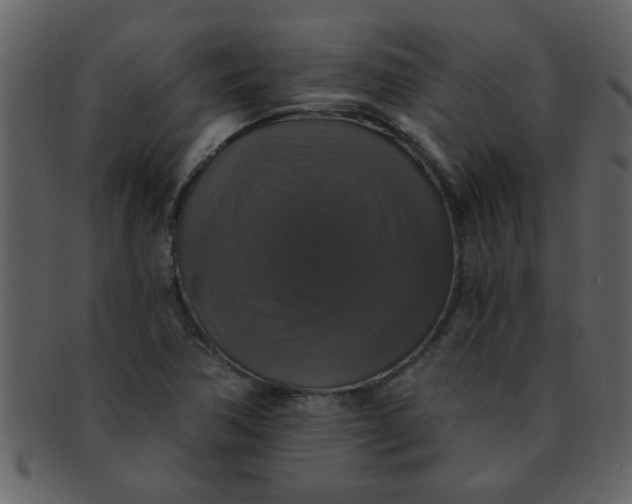 X0000093131362200710171258