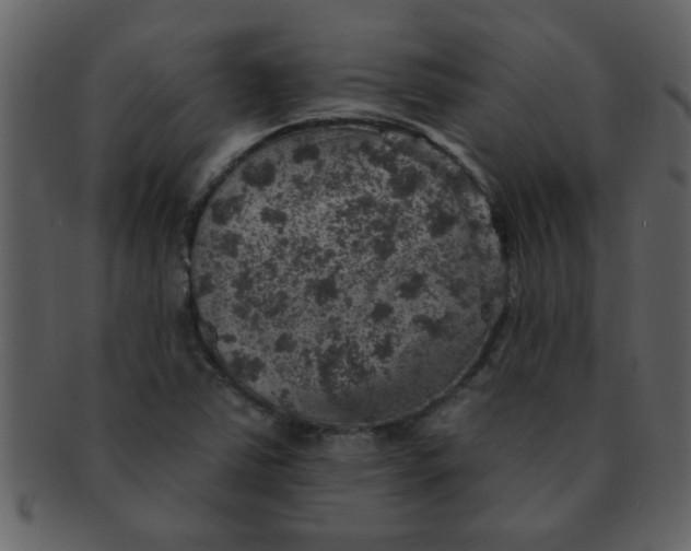 X0000093131363200710171258