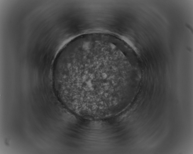 X0000093131364200710171258