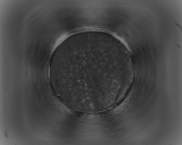 X0000093131365200710171258