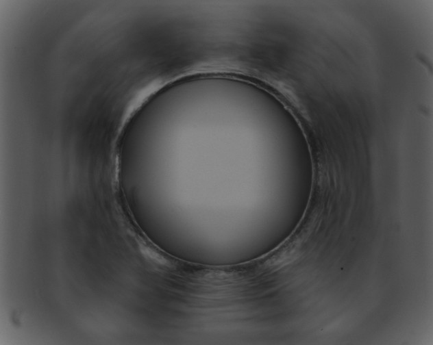 X0000093131366200710171258