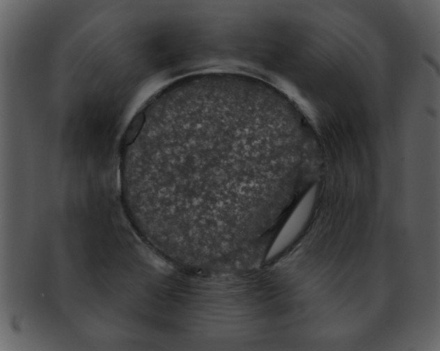 X0000093131368200710171258