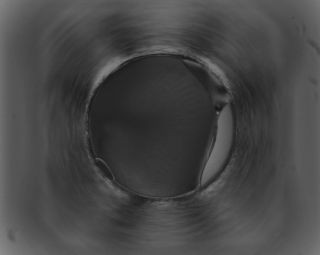 X0000093131373200710171258