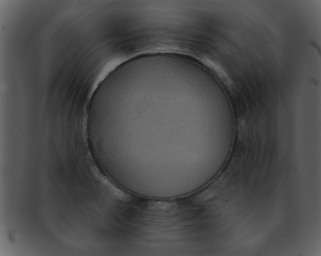 X0000093131374200710171258