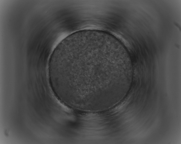 X0000093131375200710171258