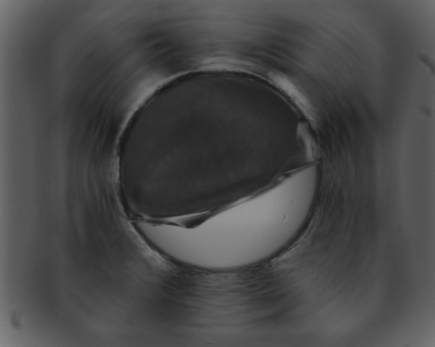 X0000093131376200710171258