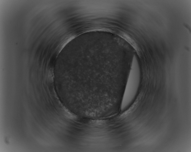 X0000093131377200710171258