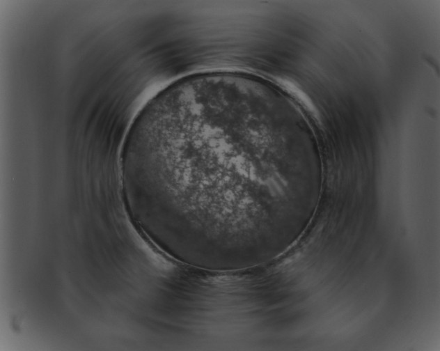 X0000093131380200710171258