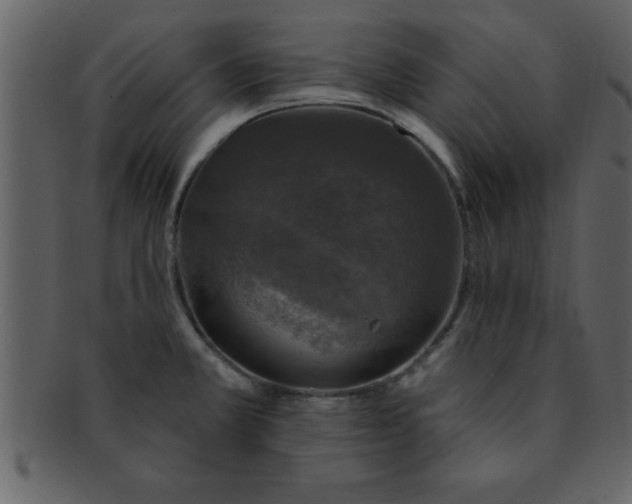 X0000093131381200710171258