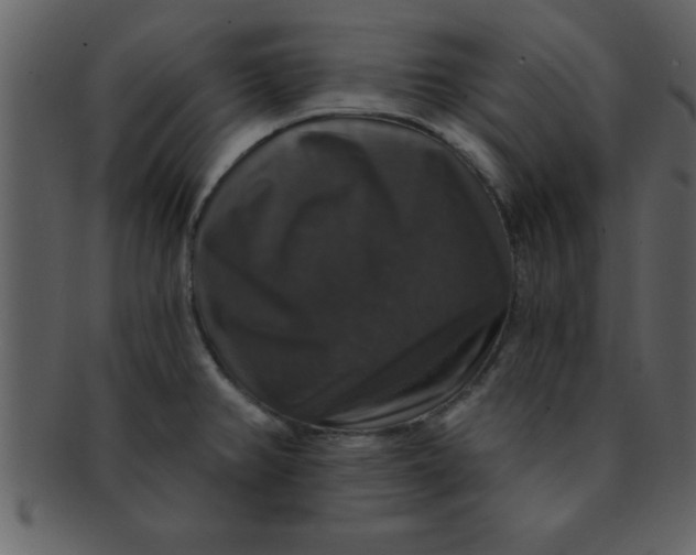 X0000093131382200710171258