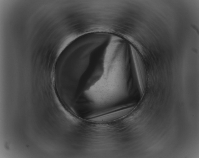 X0000093131383200710171258