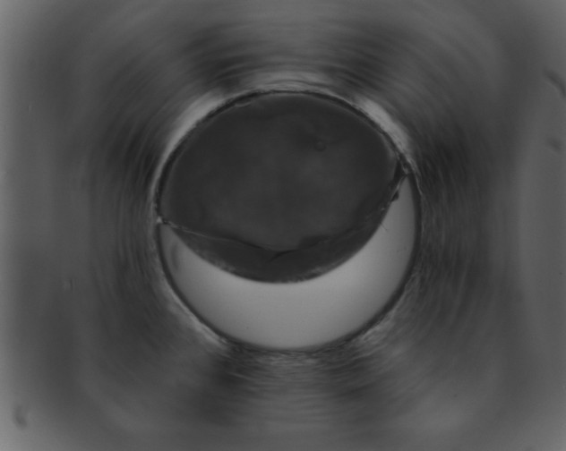 X0000093131384200710171258