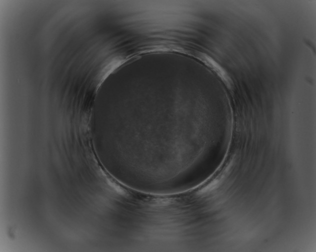 X0000093131385200710171258