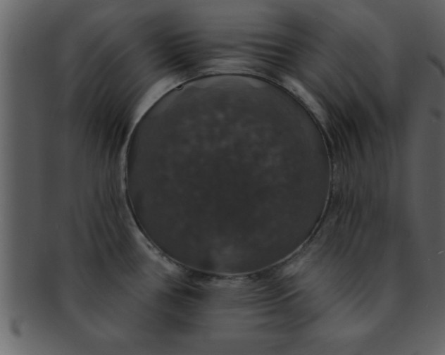 X0000093131386200710171258