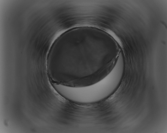 X0000093131388200710171258