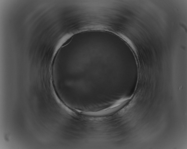 X0000093131389200710171258