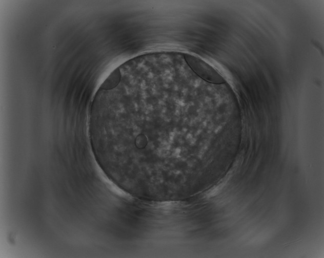 X0000093131390200710171258