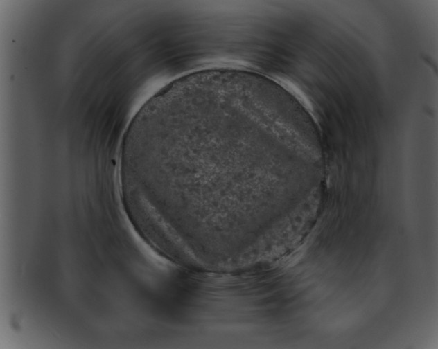 X0000093131391200710171258