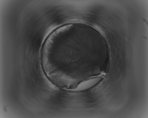 X0000093131392200710171258