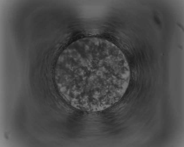 X0000093131393200710171257