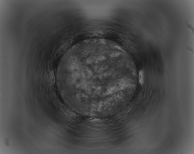 X0000093131395200710171257