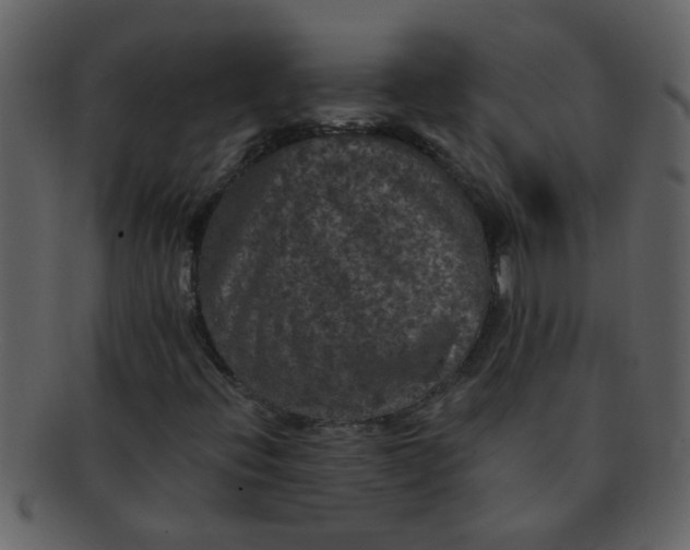 X0000093131396200710171257