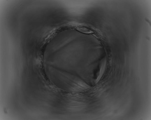 X0000093131397200710171257