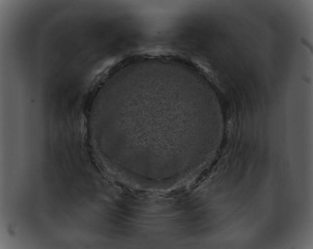 X0000093131398200710171257