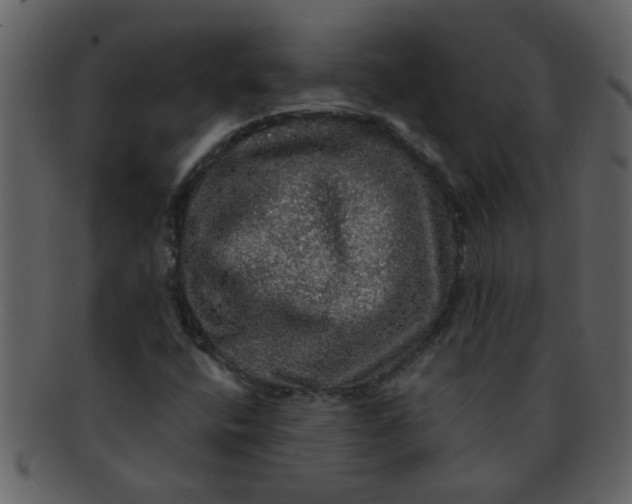 X0000093131400200710171257