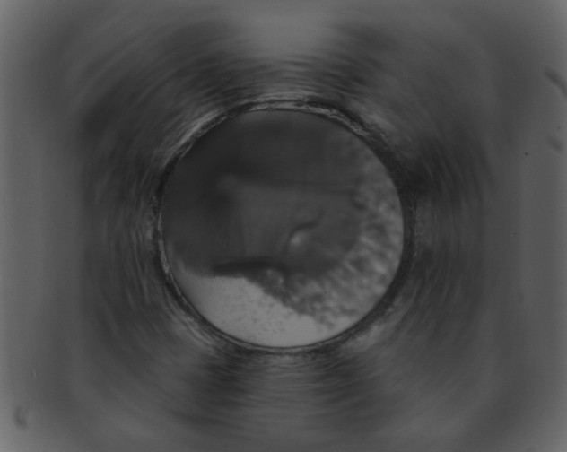 X0000093131401200710171257