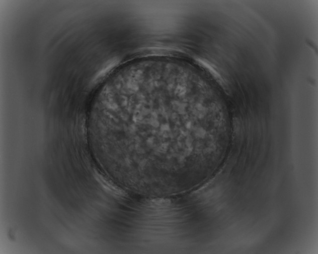 X0000093131403200710171257