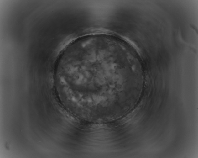 X0000093131407200710171257