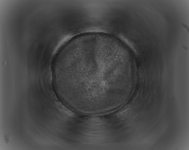 X0000093131408200710171257