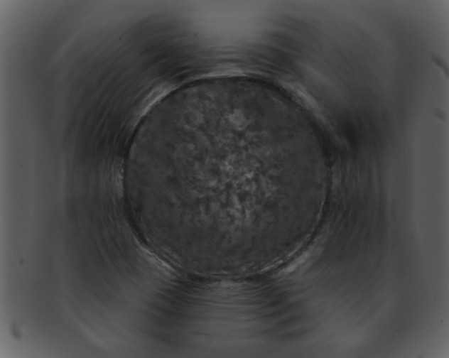 X0000093131409200710171257