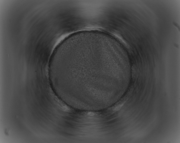 X0000093131412200710171257