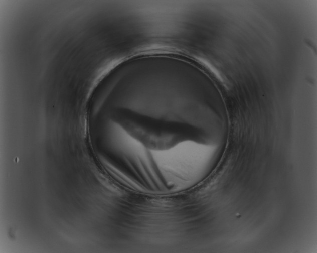 X0000093131413200710171257