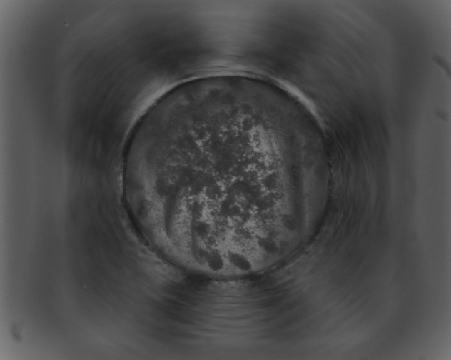 X0000093131415200710171257