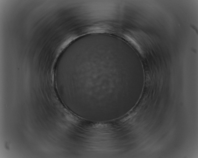 X0000093131419200710171258